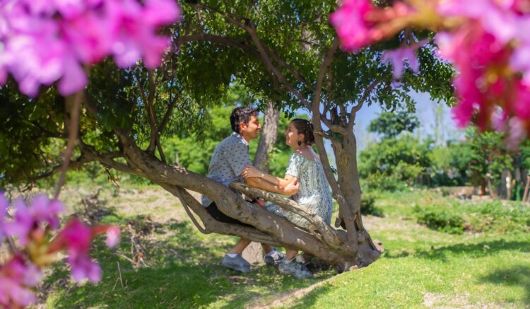 Hôn nhân giống một khu vườn
