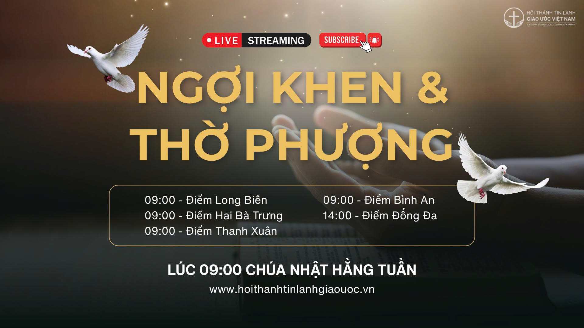 livestream online